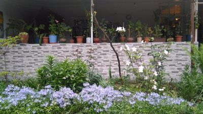 დურუჯი_5